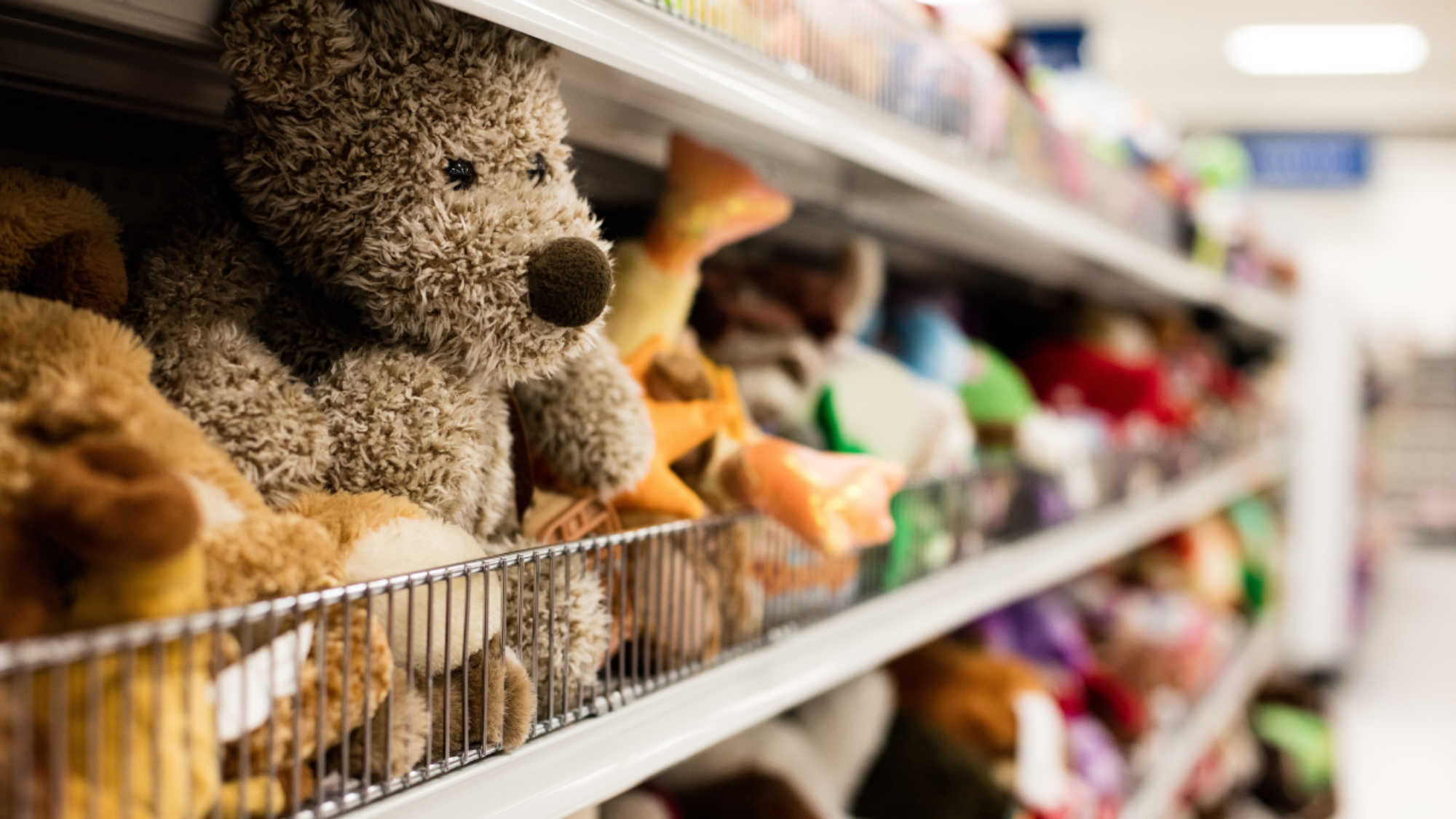 A shelf of stuffed animals at a Deseret Industries store, featuring a cuddly teddy bear